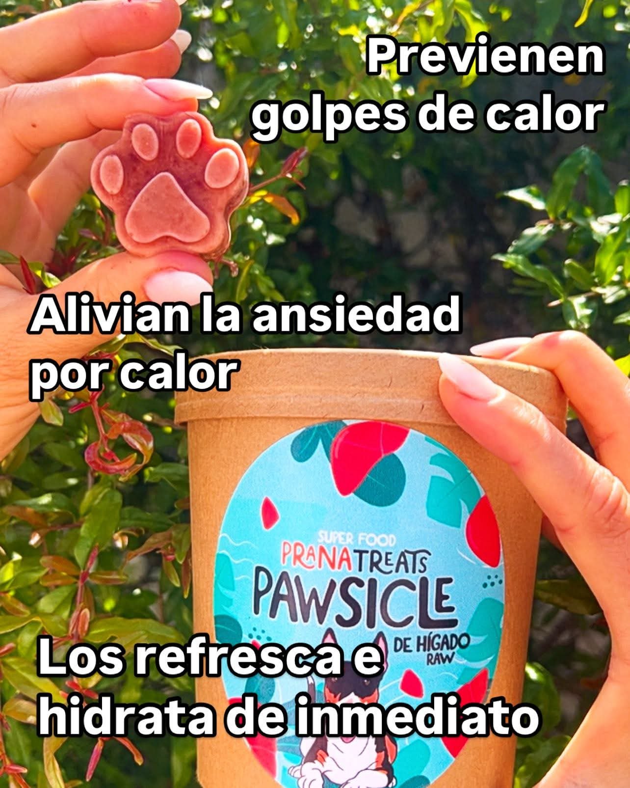 Helados Prana variedad 15 unidades - Image 5