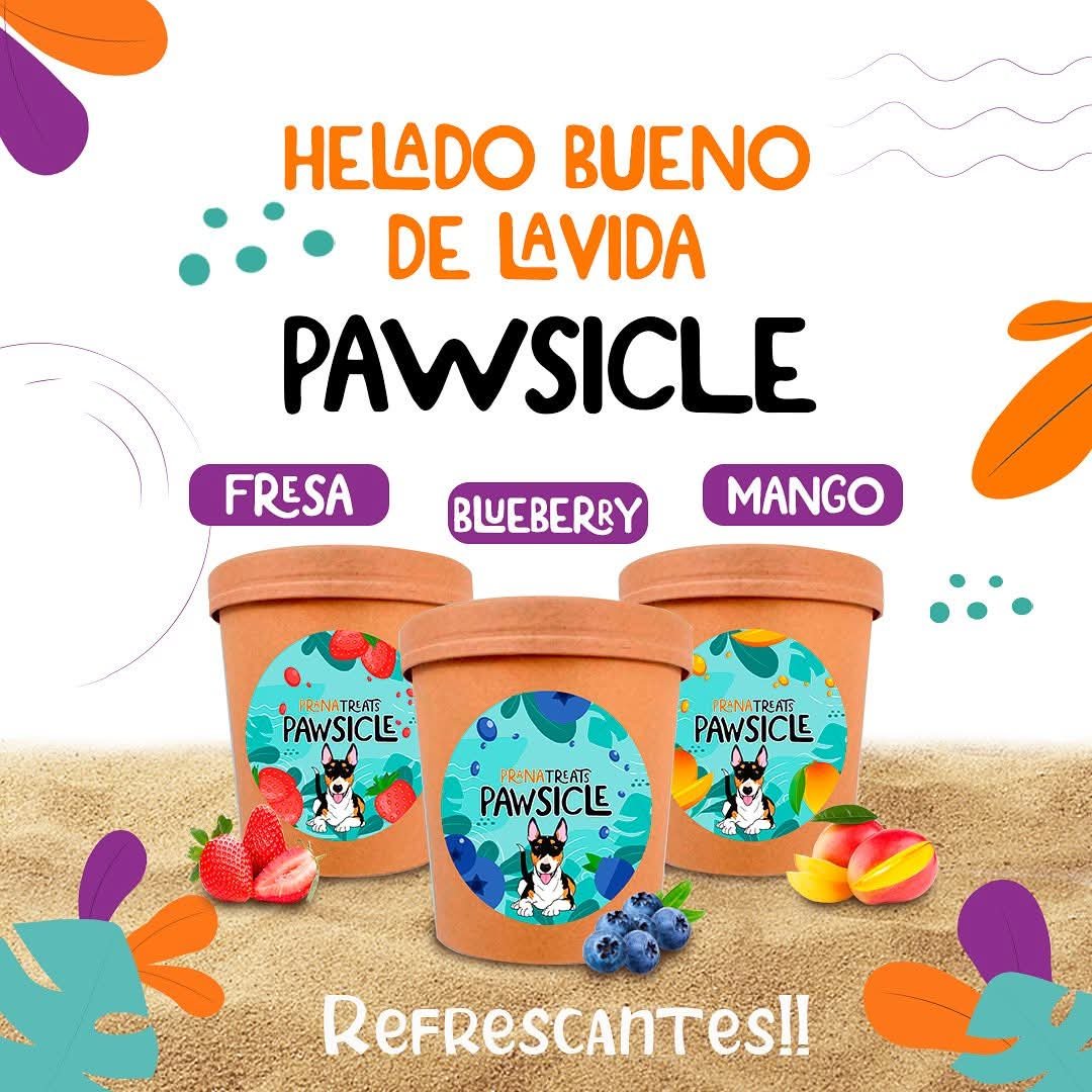 Helados Prana variedad 15 unidades - Image 10