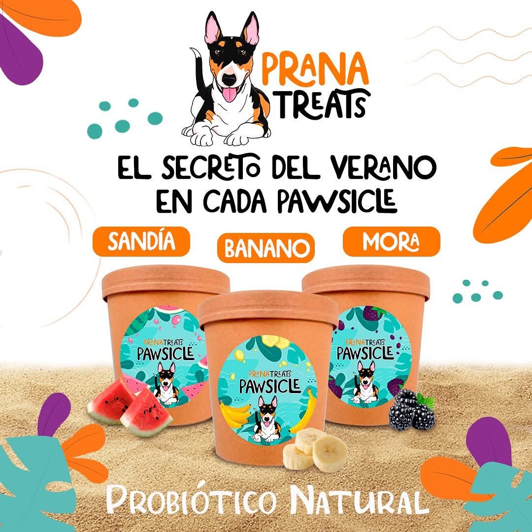Helados Prana variedad 15 unidades - Image 11