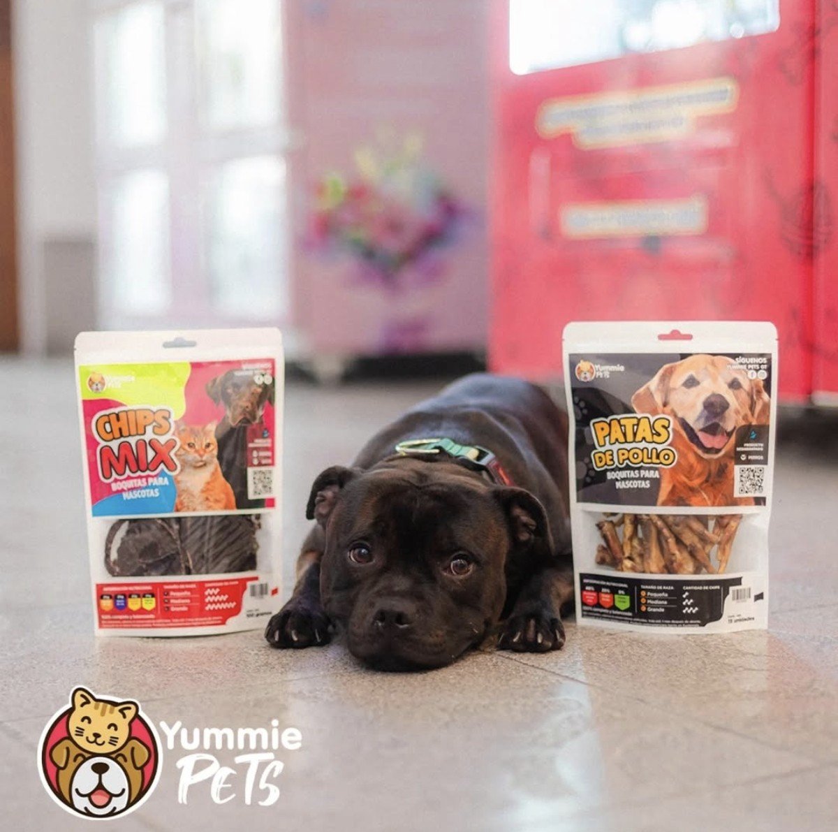 Patas de Pollo Yummie Pets - Image 4